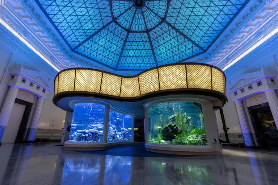 30+ Things to Do in Chicago in 2025